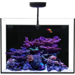 Waterbox Marine AIO 30.2 Plus With LED Lights