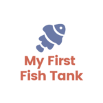 Blog Archive