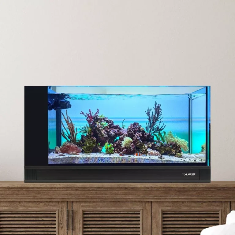 Read more about the article Innovative Marine 20-Gallon Peninsula Saltwater Aquarium Build Guide