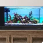 Innovative Marine 20 NUVO Fusion Peninsula PRO 2 aquarium with APS pedestal