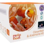 The HelloReef saltwater aquarium kit box, slightly at an angle showing primarily the front of the box and part of the side. on the front of the box is a large image of an orange clownfish in an anemone, which takes up 3/4 of the panel covering the upper left portion.