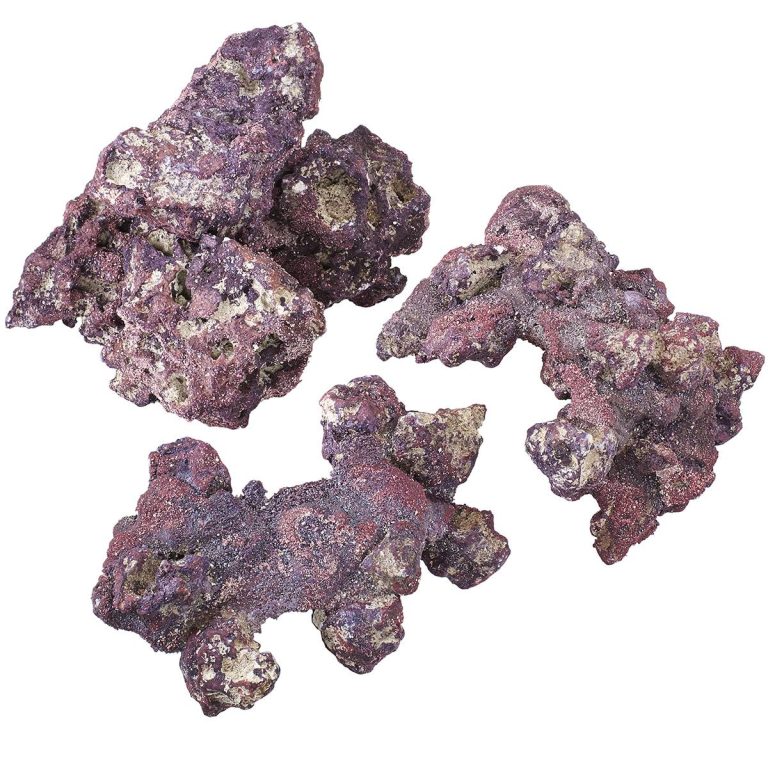 Read more about the article Best Dry Rock for Reef Tanks: 6 Options I Use