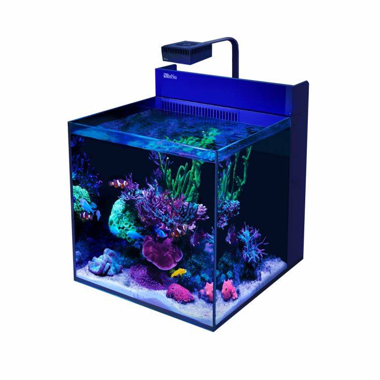 Red Sea MAX NANO G2 XL 33-gallon aquarium with reef light