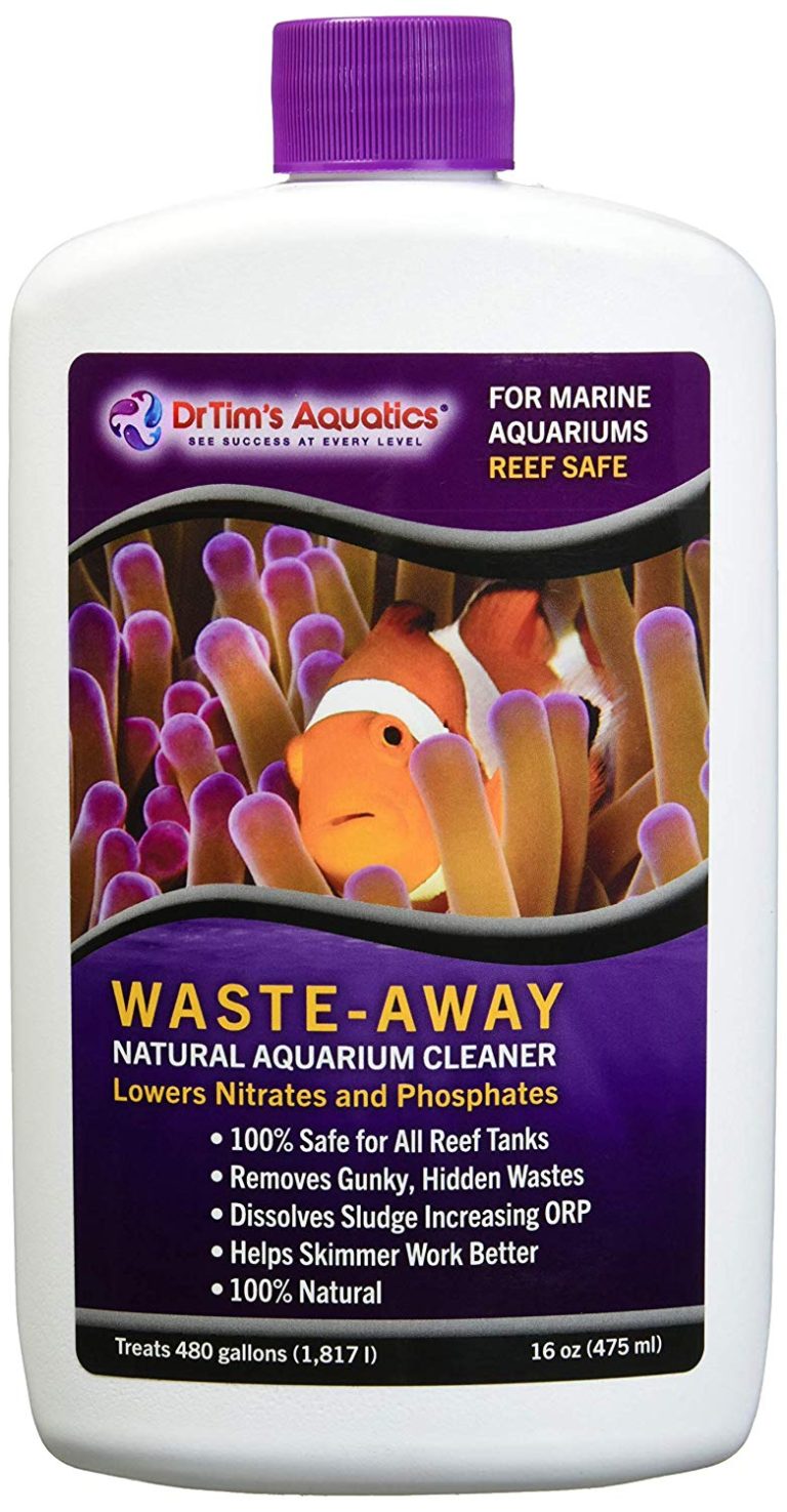 The Beginner Guide To Clean Up Crews My First Fish Tank