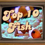 a retro television set with an image of two clownfish in the center and the words "top ten fish saltwater edition" written on top