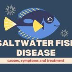 a thumbnail with a cartoon blue saltwater fish in the center and the words below it saying saltwater fish disease causes symptoms and treatment