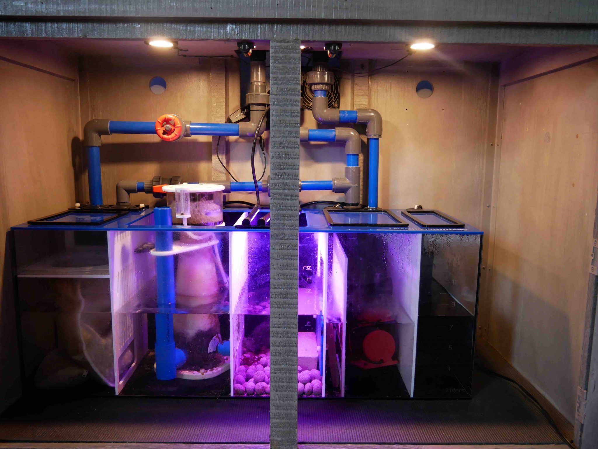 Saltwater aquarium sump filtration system