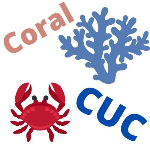 Part 06 Saltwater Aquariums Demystified Beginner Corals & Clean Up Crews