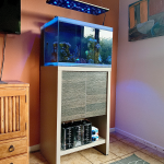 Office Reef Saltwater Aquarium
