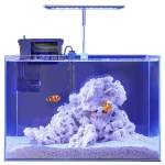 A small saltwater aquarium on a white background with a hang on the back filter in the back left, and small blade style led light attached to the rear panel. inside the tank is a white sandbed, severl pieces of white reef rock in the middle, and two small orange and white clownfish near the front