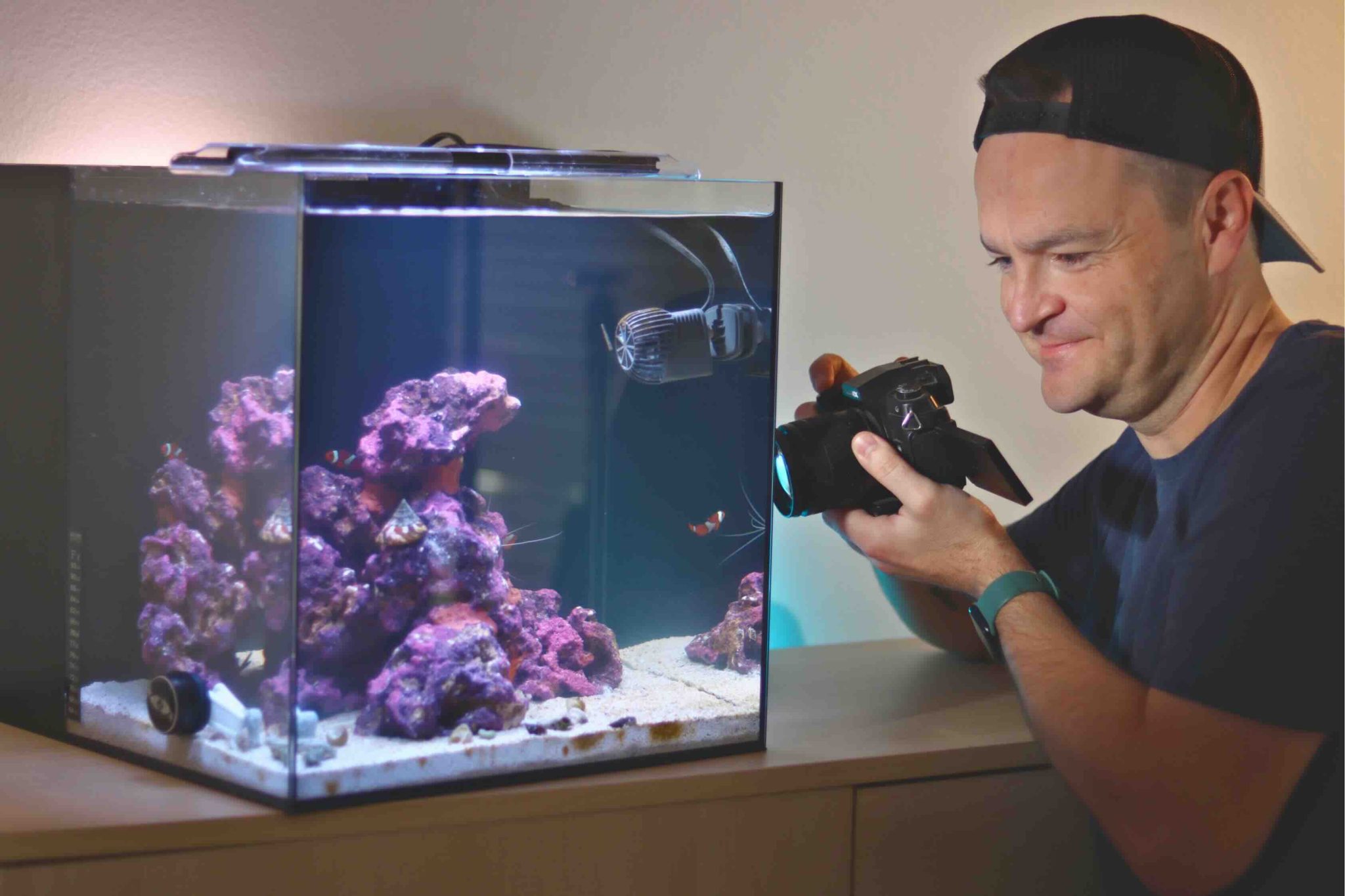 Photo inspiration: Visual Reference: Saltwater Aquarium Tips For Beginners Don T Fail Year One