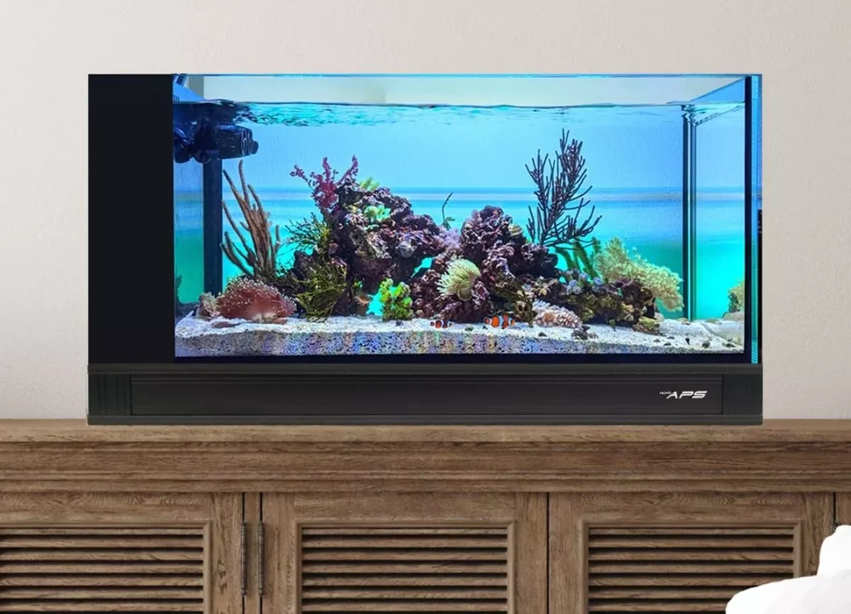 a 20 gallon peninsula style saltwater aquarium on a brown cabinet against a grey background. The tank is filled with vibrant and colorful coral and fish.