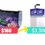 side by side comparison of two saltwater aquariums on a white background with a vertical blue line in between. On the left is a smaller 20 gallon long tank filled with colorful fish and coral with a $160 price in the foreground. On the right is a larger 40 gallon aquarium with white cabinet stand with a 3,300 price in the foreground