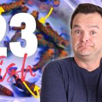 a youtube like thumb ail with several brightly colored mandarin fish in a bowl in the background, the number 23 and word fish with several yellow arrows pointing at it in the foreground. And a middle aged white male wearing a grey shirt in the foreground as well