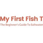 My First Fish Tank: The Beginner Guide To Saltwater Aquariums