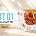 Part 01 of the HelloReef six-week guide featuring the HelloReef Clownfish and Anemone Kit