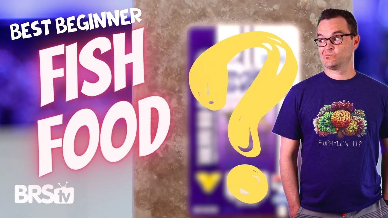 YouTube thumbnail: Proper Diet Means Choosing the Right Saltwater Fish Food!
